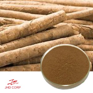 Burdock Root Extract 10:1 TLC