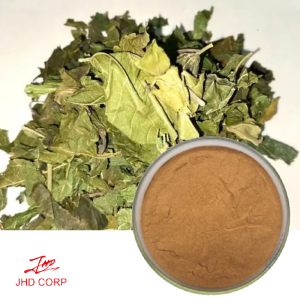 Mulberry Leaf Extract Flavone 3% UV