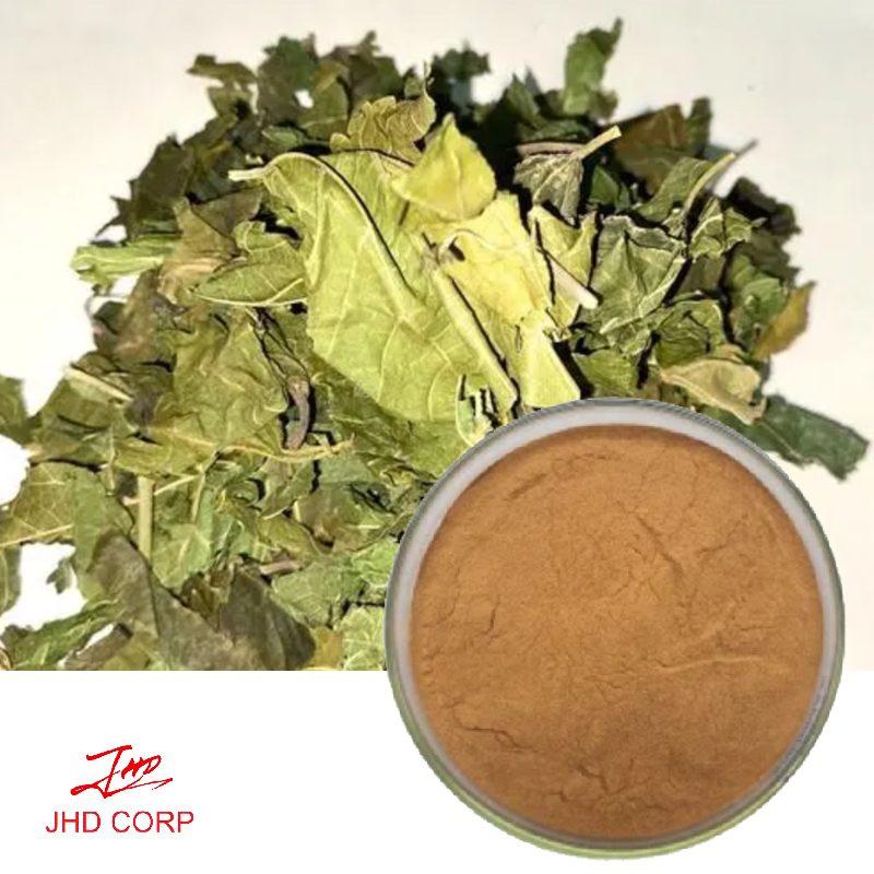 Mulberry Leaf Extract Flavone