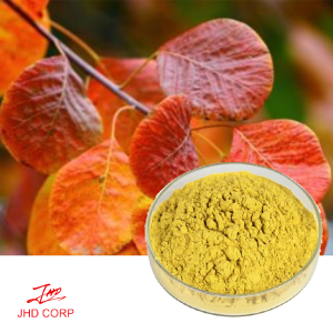 Cotinus Coggygria Scop Extract Fisetin 98%  HPLC