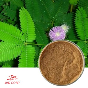 Mimosa Pudica Extract 10:1 TLC