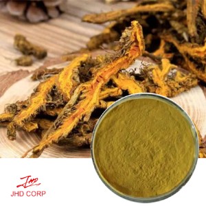 Coptis Chinensis Extract 10:1 TLC