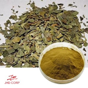 Boldo Leaf Extract 10:1 TLC