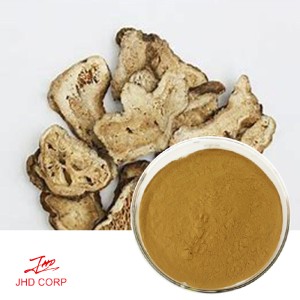 Langehead Atractylodes Rhizome Extract 10:1 TLC (Chinese Atractylodes Extract)