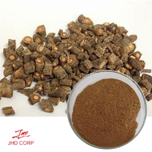 Divaricate Saposhnikovia Extract 10:1 TLC