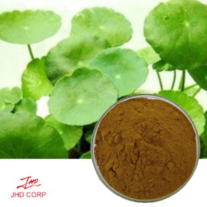 Gotu Kola Extract