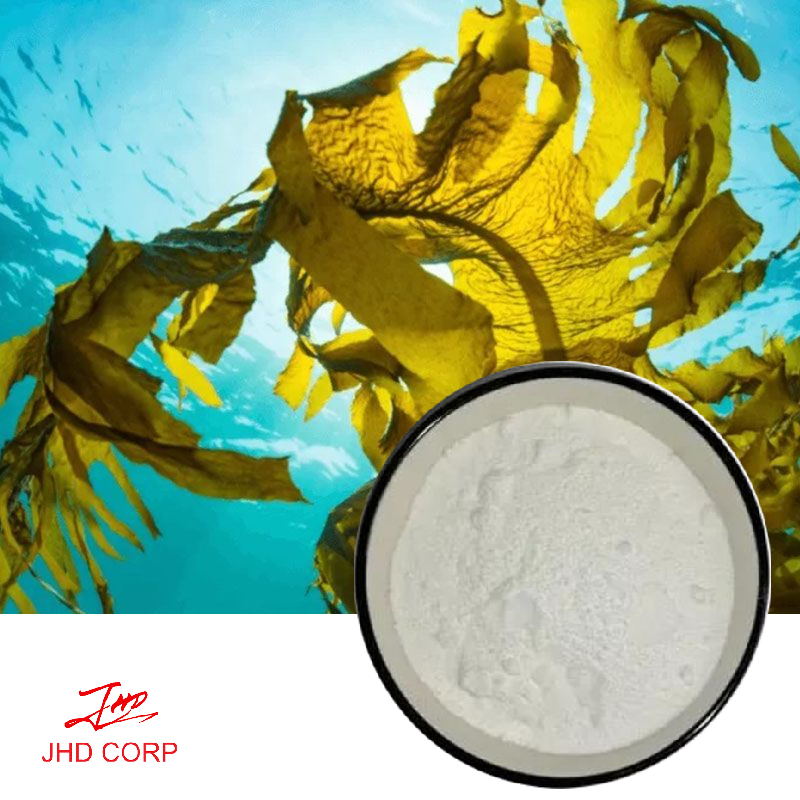 Brown Seaweed Extract Powder 85% Fucoidan