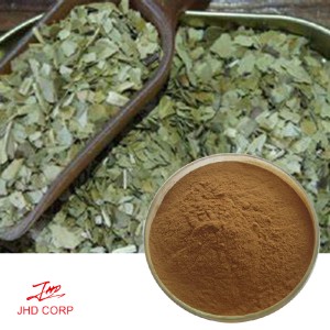 Yerba Mate Extract