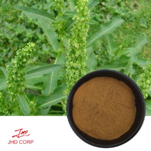 Yellow Dock Extract（Rumex crispus Extract）