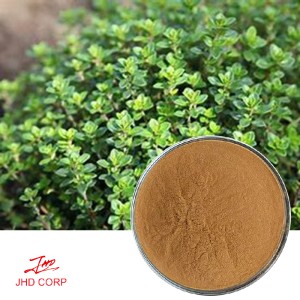 Thyme Extract 10:1 TLC