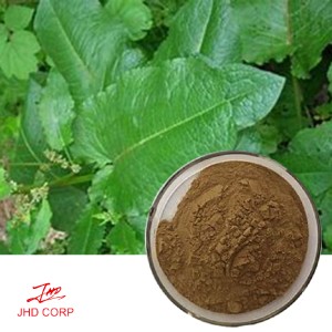 Rumex Extract 10:1 TLC