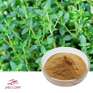 Thyme Extract 4:1 TLC