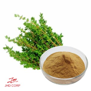 Thyme Extract 20:1 TLC