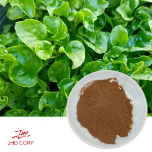 Watercress Extract