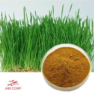 Wheat Grass Extract 4：1 TLC