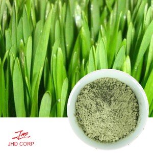 Wheat Grass Powder