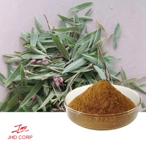 Apocynum Venetum Extract Dogbane Leaf Extract