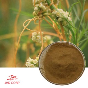 Direct Water Soluble Dodder Seed Extract Cuscuta Chinensis Extract