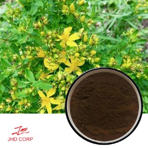 St.John’s Wort Extract 10:1 TLC