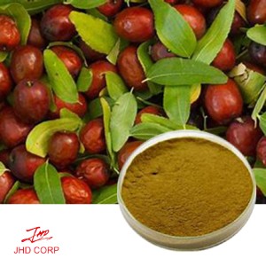 Jujube Extract 10:1 TLC