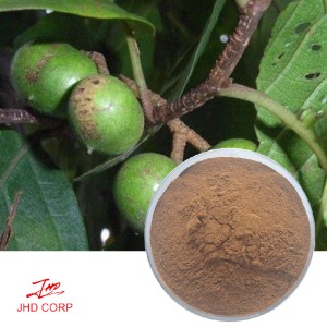 Pygeum Africanum Extract Powder