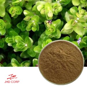 Natural Bacopa Monnieri Extract