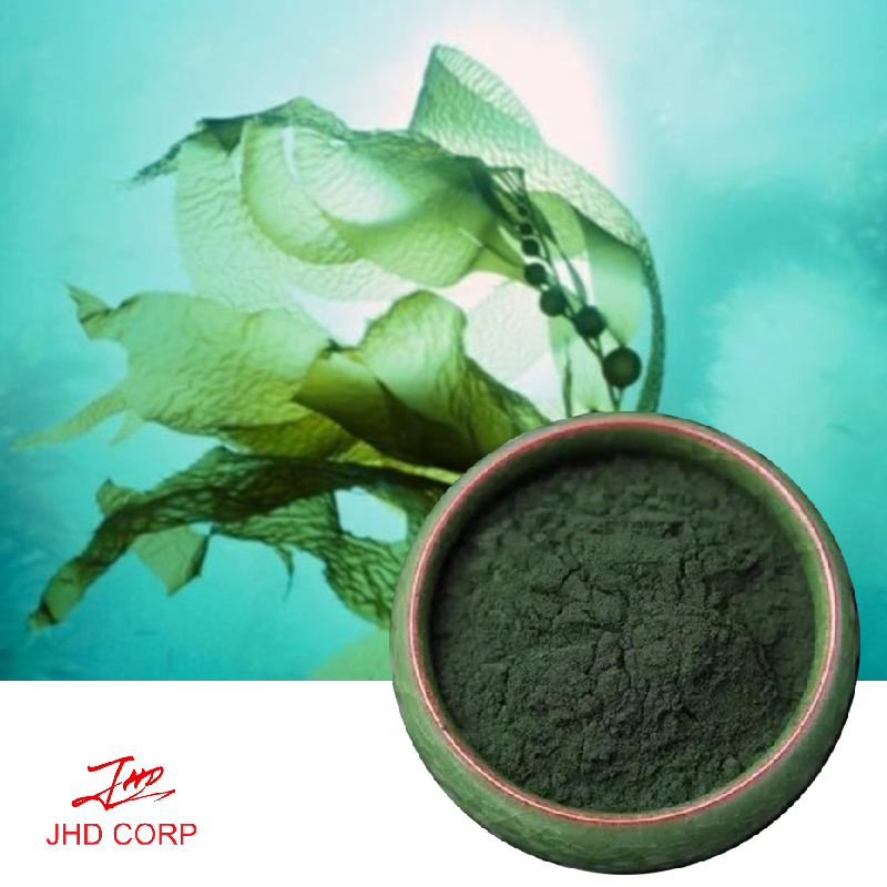 100% pure organic spirulina powder