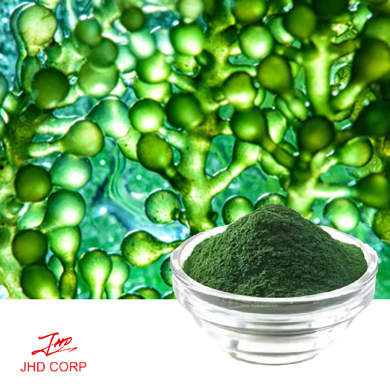 Spirulina Powder TLC