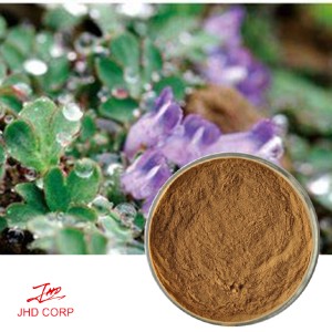 Corydalis Extract 10:1 TLC