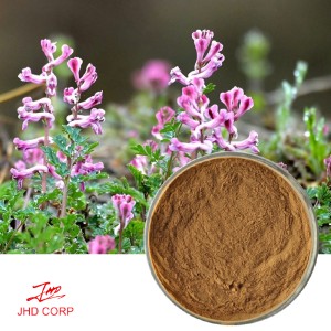 Corydalis Extract 20：1 TLC