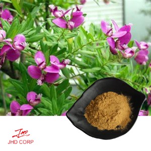 Polygala Extract