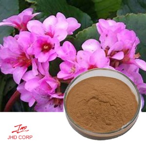 Bergenia Ligulata Extract