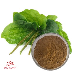 Plantago Quata Extract