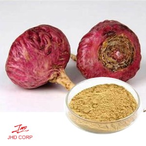 Organic Red Maca Root Extract