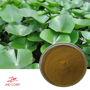 Lotus Leaf Extract