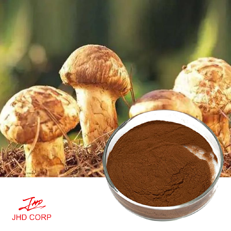 Agaricus Blazei Mushroom Extract