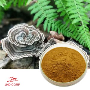 Coriolus Versicolor Extract