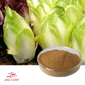 Chicory Extract