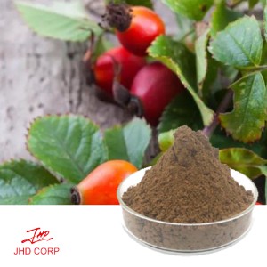 Rose Hip Extract Powder