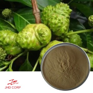 Noni Fruit Extract