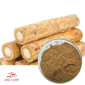 Burdock Root Extract