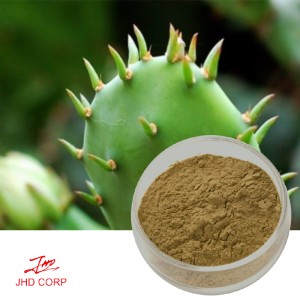 Organic Cactus Extract