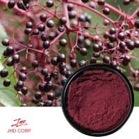 How Do Elderberry Anthocyanins Support Immune Defense? How Do Elderberry Anthocyanins Support Immune Defense?