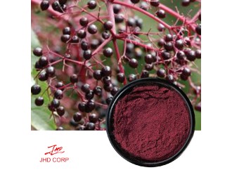 How Do Elderberry Anthocyanins Support Immune Defense? How Do Elderberry Anthocyanins Support Immune Defense?