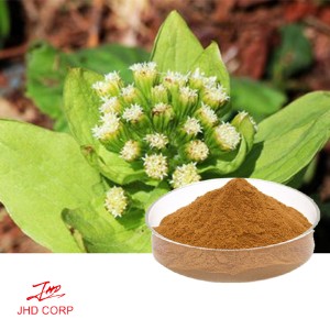 Butterbur Extract