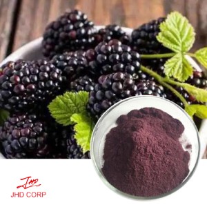 Mulberry Extract