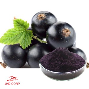 Black Currant Extract