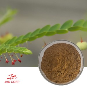 Chanca Piedra Extract