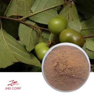 Pygeum Extract