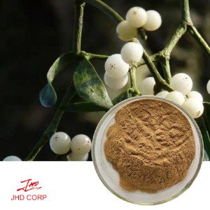 Mistletoe Extract